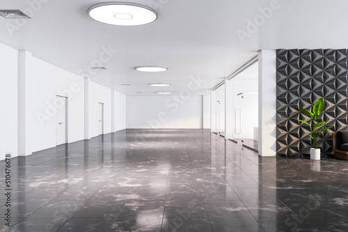 Modern spacious office hall with white ceiling and doors, dark marble floor, green plant tree in white pot and glass walls in separate parlors. 3D rendering