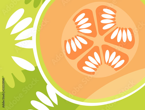Abstract fruit design in flat cut out style. Cantaloupe melon cross section and seeds. Vector illustration.