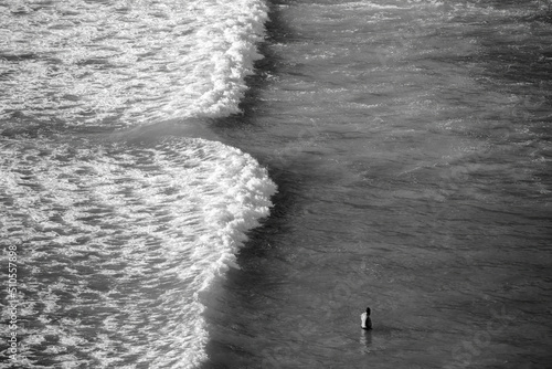 View of tourist bathing near dangerous rip current at Piha beach, Auckland, New Zealand.