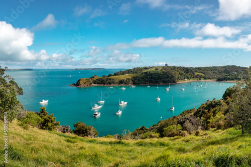 Waiheke Island, New Zealand