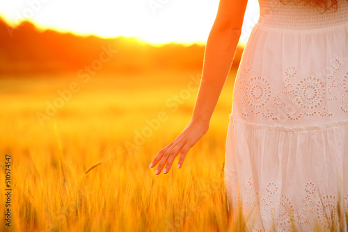Woman hand at sunset touching wheat in a field