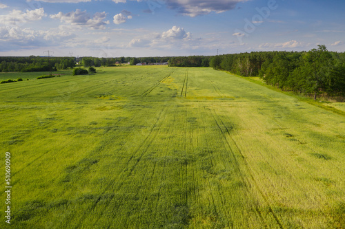 Pola i łąki wiosną widziane z dużej wysokości. Zdjęcie z drona. Rozległy, płaski teren pokryty zielonymi polami uprawnymi i łąkami. Widać polną drogę, kępy drzew, oraz na obrzeżach iglasty las. Widok