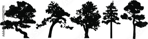 Vector silhouette of tree. Isolated eps 10.