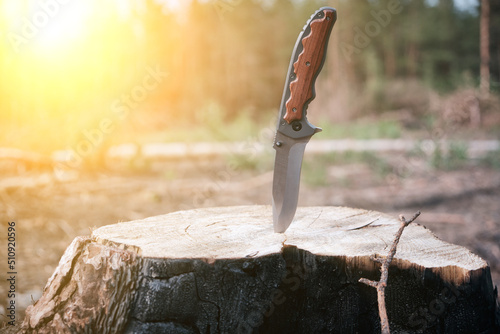 Tactical knife for survival and protection difficult conditions, stuck in the stump sawn tree in forest.