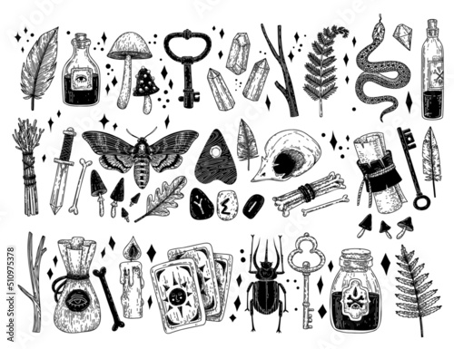 Collection of mystical objects drawn in engraving style. Vintage magic items, scoops, crystals, snake, moth and others. Elements for design. Tarot.