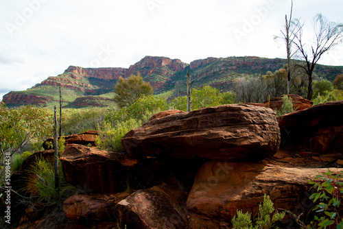 Ikara-Flinders Ranges National Park - Australia