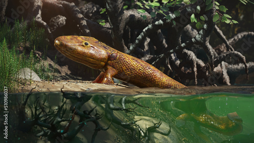 Tiktaalik, extinct walking fish, the evolution of four-legged animals