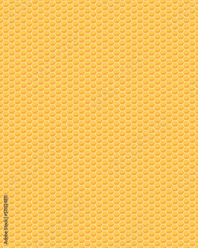 Honeycomb cells texture. Vector honey concept vertical background. 