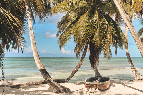 Palm trees on the beach of Saona island in the Caribbean sea. Summer landscape.