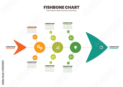 Fishbone chart diagram infographic