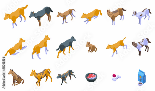 Wild dog dingo icons set isometric vector. America pup. Australia animal