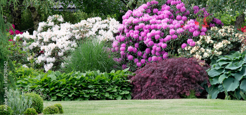 beautiful garden with a well-kept lawn