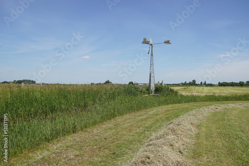 Small, metal windmill with a wind vane that pumps water in a Dutch pasture landscape near the village of Bergen. Meadows, June, Netherlands. 