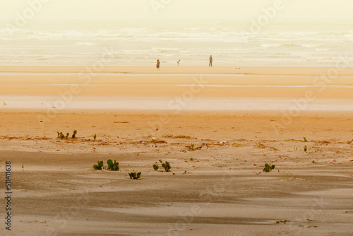 Tajpur sea beach - bay of Bengal, India. View of sand dunes with bay of bengal in the background.