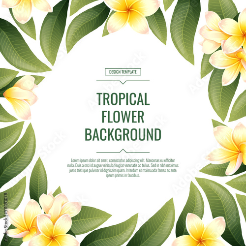Square background with plumeria flowers. Tropical frangipani plant. Banner, poster, flyer, postcard. Summer illustration.