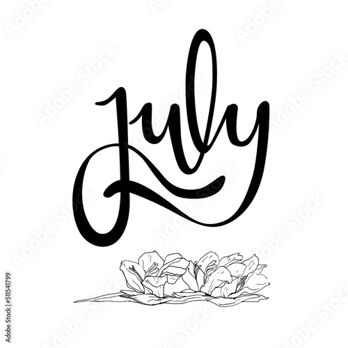 Letrero de letras escritas a mano y vectorizado "July". Recurso grafico sobre fondo blanco, julio mes del año con flores de Gladiolos.