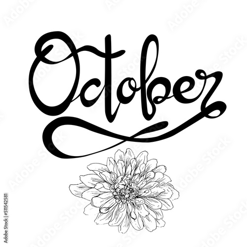 Letrero de letras escritas a mano y vectorizado "October". Recurso grafico sobre fondo blanco, octubre mes del año con flores de Dalias.