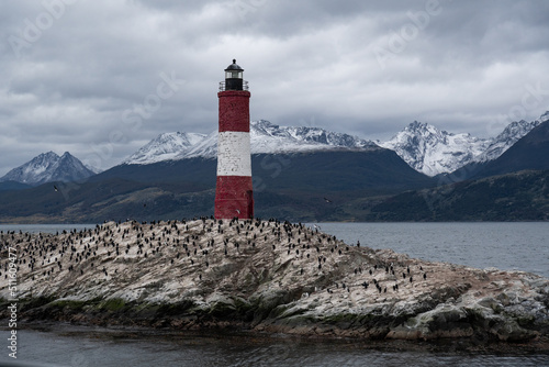 a red and white lighthouse on a rock where there are many birds.