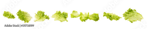 Fresh green lettuce leaves isolated on white background