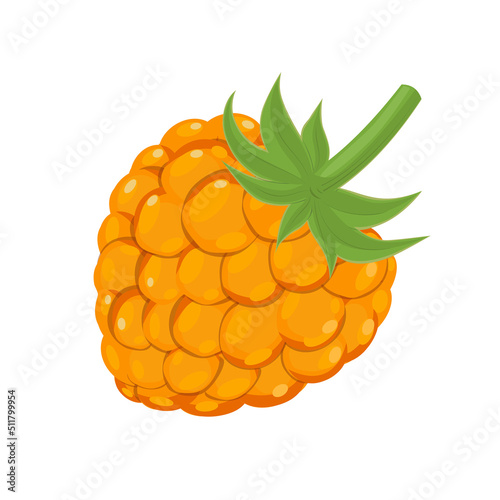 Cloudberry or yellow raspberry, vector illustration in flat cartoon style isolated on white background