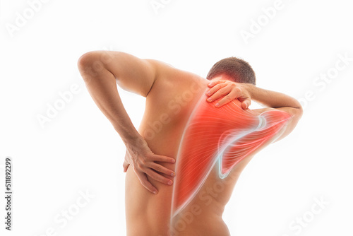 Back pain, male body torso back view, human trapezius muscle illustration
