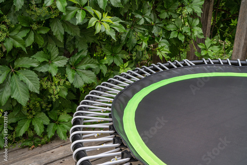 detail of mini trampoline for fitness exercising and rebounding in a backyard patio with vine foliage
