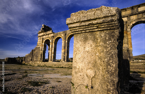 Ruinas romanas de Volubilis(40d.c.).Fez. Marruecos.