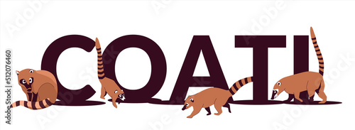 Text Coati is a genus of small mammals of the raccoon family, common in both American continents. Vector illustration isolated on white background