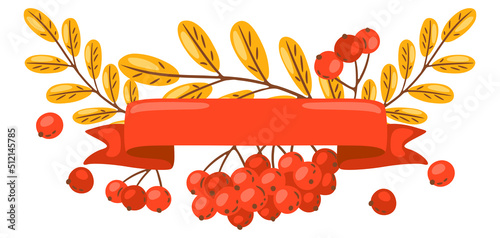Background from rowan sprigs with berries. Image of autumn plant.
