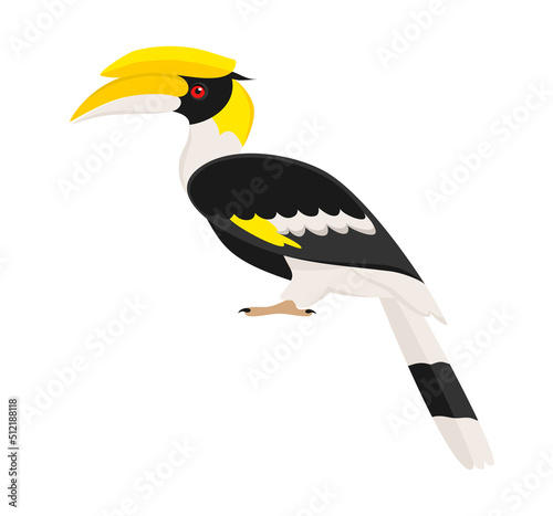 Great hornbill isolated on a white background. Vector illustration in flat style