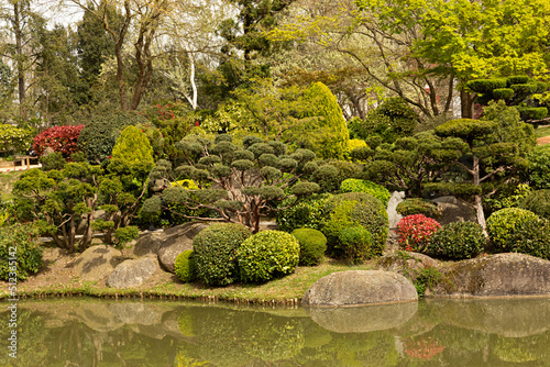 Detalle del paisaje del jardín japonés en Toulouse, Francia. 