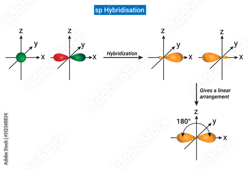 sp Hybridisation: One s and one p orbital of an atom are mixed to give two new hybrid orbitals which are equivalent in shape and energy known as sp hybrid orbitals.