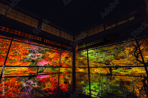 京都 瑠璃光院の夜紅葉 -Red leaves in Kyoto-