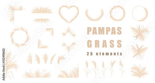 Pampas grass collection. Set of wedding bouquets, frame and borders. Vector cortaderia in boho style isolated on white. Trendy design elements for invitations, postcards, social media, stickers.