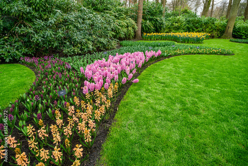 Colorful garden landscape and grassy lawn