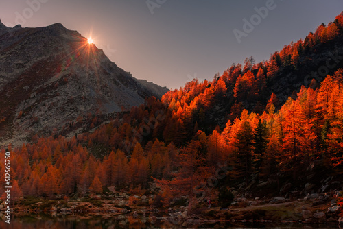 Amazing sunset over the autumnal wood of Aosta Valley Italian Alps
