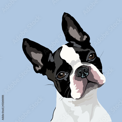 portrait of french bulldog doodle, Boston Terrier illustration