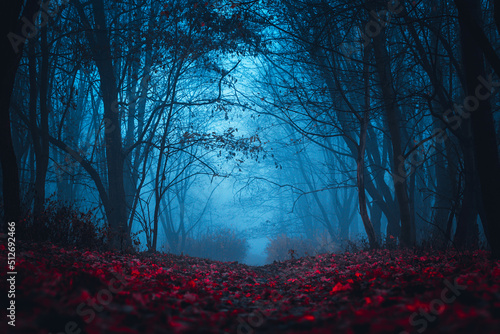 Fairy Forest. Mystical atmosphere. Paranormal another world. Stranger forest in a fog. Dark scary park with red leaves. Background for wallpaper.