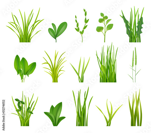 Green bushes. Realistic grass illustrations garden botanical decoration decent vector bushes collection