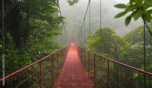 Suspension bridge in tropical rain forest