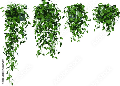 Front view of Plant (Hanging Creepers Plants 1) Tree illustration vector 