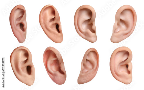 Human ears on white background, collage. Organ of hearing and balance