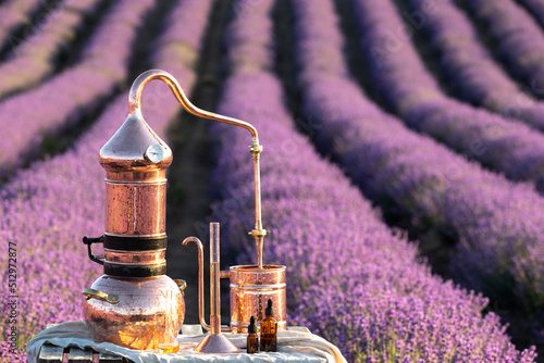 Distillation of lavender essential oil and hydrolate. Copper alambic for the flowering field.