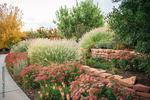 Salmon Garden