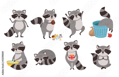 Raccoon character. Funny coon in trash, wild raccoons in different poses and cute mammal animal mascot cartoon vector set