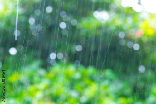 Tropical rain, season of precipitation. Rain on the background of defocused palm leaves.