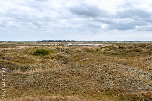 View on a dune landscape, national park The Slufter on the island of Texel, Netherlands