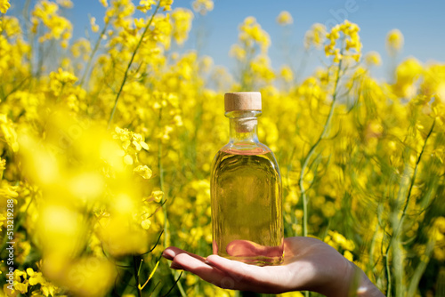 Rapeseed oil in a transparent glass bottle in hand on a background of rapeseed field