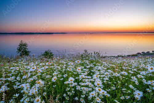 Field of flowers and beautiful lake