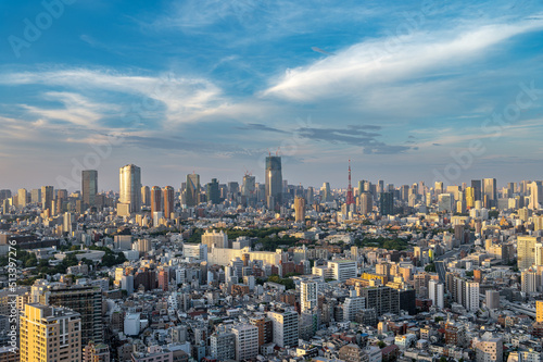 東京都渋谷区恵比寿の高層ビルから見た東京の都市景観